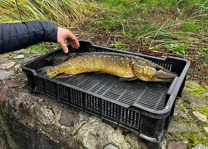 Agro-raj - Gospodarstwo agroturystyczne